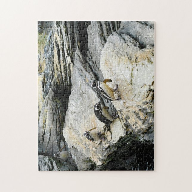 Humboldt Penguins. Pussel (Vertikal)