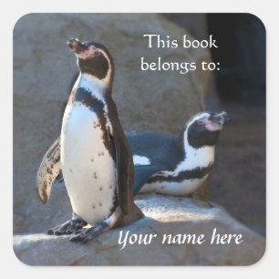 Humboldt Penguins "This bok tillhör to" Sticker" Fyrkantigt Klistermärke