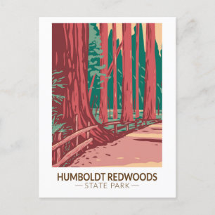 Humboldt Redwood State Park Avenue of the Giants Vykort