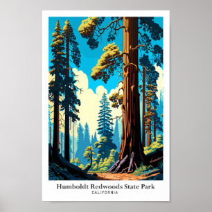 Humboldt Redwood State Park Travel Illustration Poster