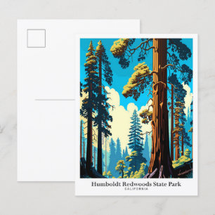 Humboldt Redwood State Park Travel Illustration Vykort