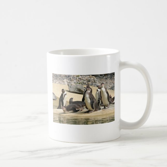 Humboldtpingviner Kaffemugg (Höger)