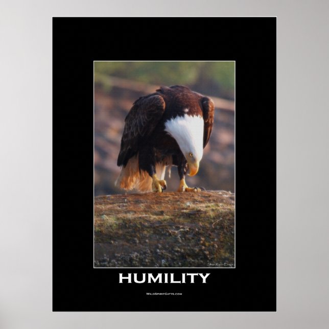 HUMILITY Örn Motivering Poster (Framsidan)