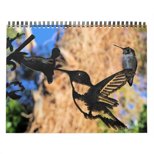 HUMINGBIRD 2022-kalender Kalender (Omslag)