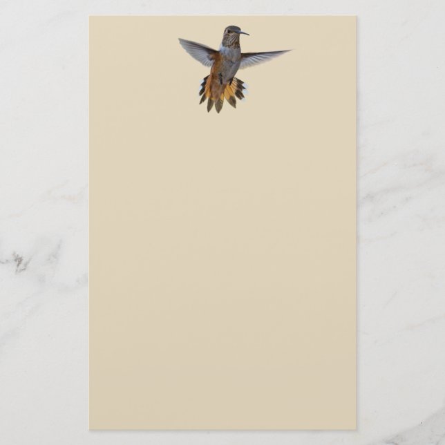 HUMINGBIRD BREVPAPPER (Framsida)
