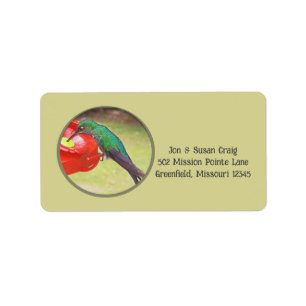 HUMINGBIRD (LILA SABREWING) VID FODER ADRESS ADRESSETIKETT