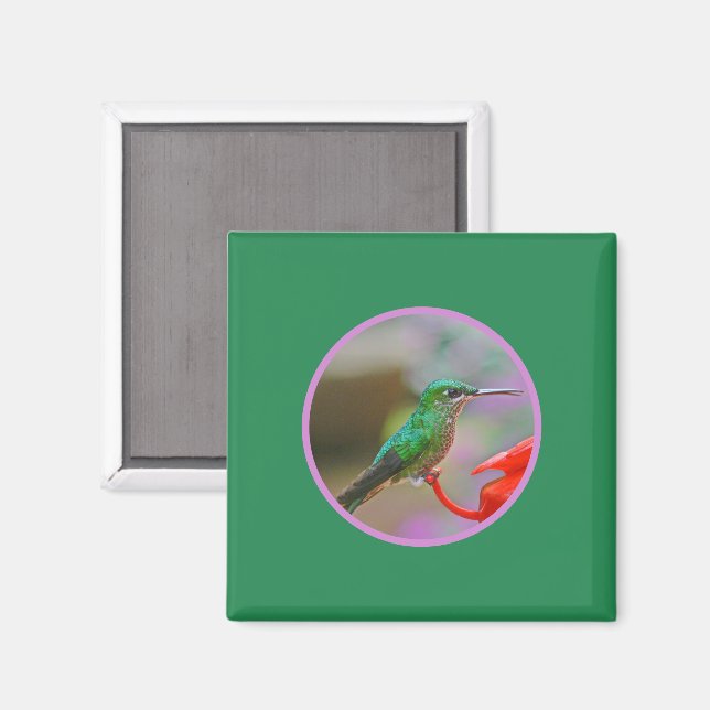 HUMINGBIRD MAGNET (Front/Back)