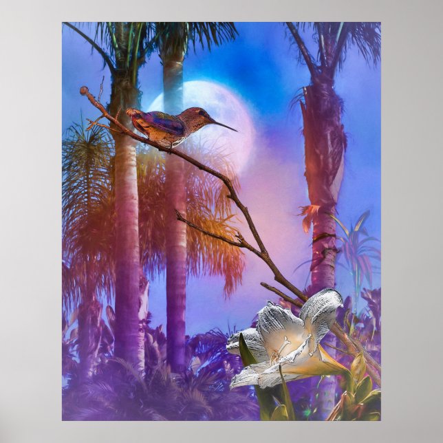 HUMINGBIRD MOONLIGHT OASIS POSTER (Framsidan)