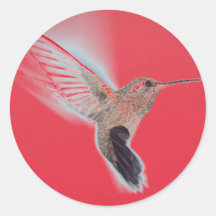 HUMINGBIRD RED Sticker