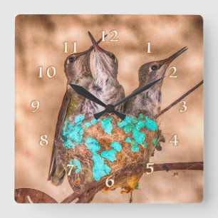 HUMINGBIRD SPÄDBARN BUSSAD LÖS FYRKANTIG KLOCKA