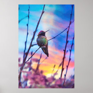 HUMINGBIRD SUNRISE GLORE POSTER