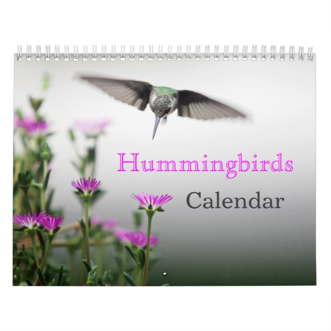 HUMINGBIRDS-kalender Kalender (Omslag)