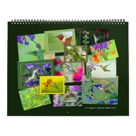 HUMINGBIRDS-kalender Kalender