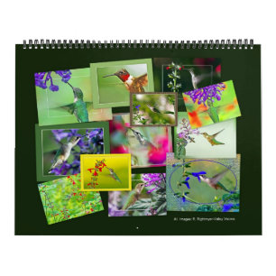 HUMINGBIRDS-kalender Kalender