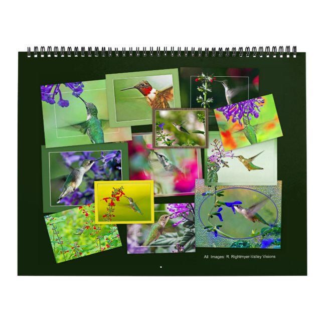 HUMINGBIRDS-kalender Kalender (Omslag)