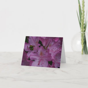 Humla Busy på en Rhododendron Tack Kort
