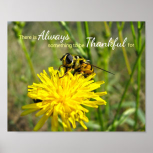Humla Gult Dandelion alltid tacksam Poster