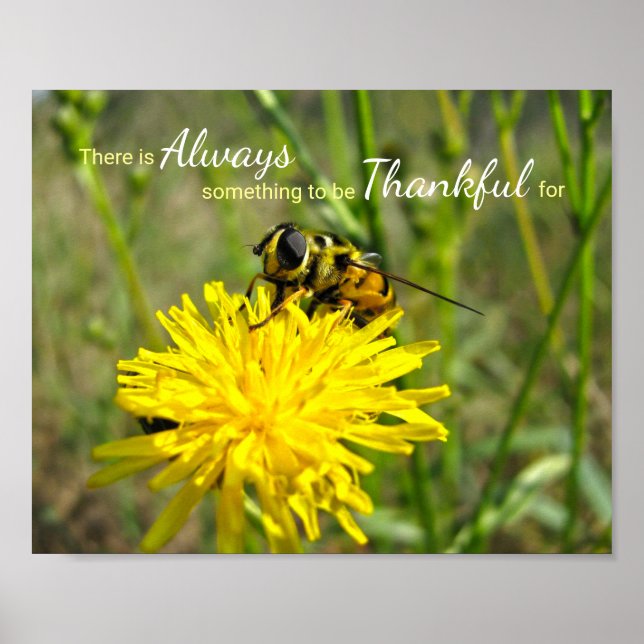 Humla Gult Dandelion alltid tacksam Poster (Framsidan)