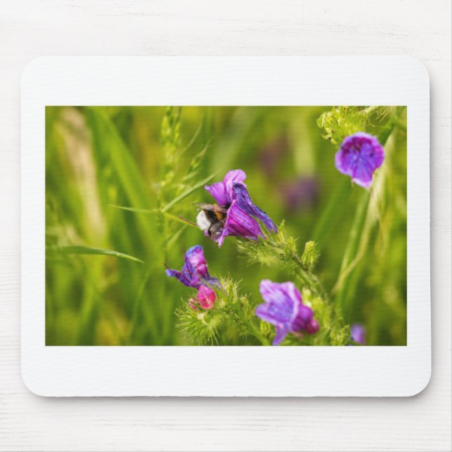 Humla i blomning  musmatta (Framsidan)