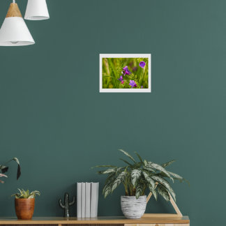 Humla i blomning poster