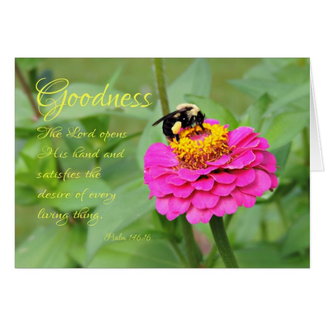 Humla i rosa Zinnia Tänker på dig-kort Hälsningskort (Framsidan Horizontal)