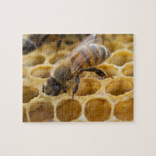 Humla Inside Honeycomb Jigszle Puzzle Pussel