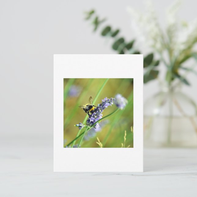 Humla & Lavendel Vykort (Stående Fram)