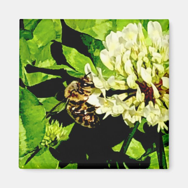 Humla Magnet (Framsidan)