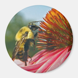 Humla med himmelhjärta magnet