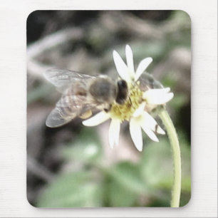 Humla Mousepad Musmatta