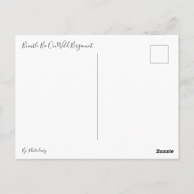 Humla on Vild Bergamot-vykort Vykort (Baksida)