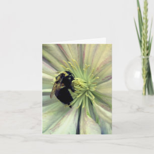 Humla På Clematisblomma Fotografi  Anteckningskort