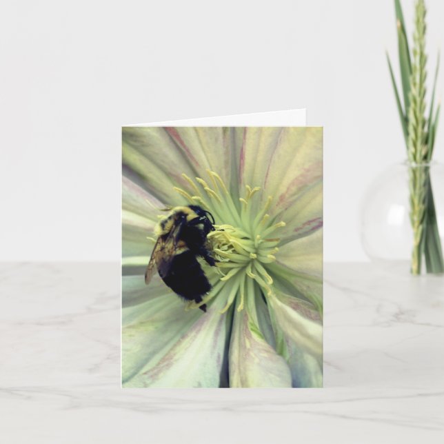 Humla På Clematisblomma Fotografi  Anteckningskort (Framsida)