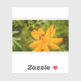 Humla på en Svavelkosmos Klistermärken