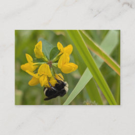 Humla på gul vildblomma visitkort