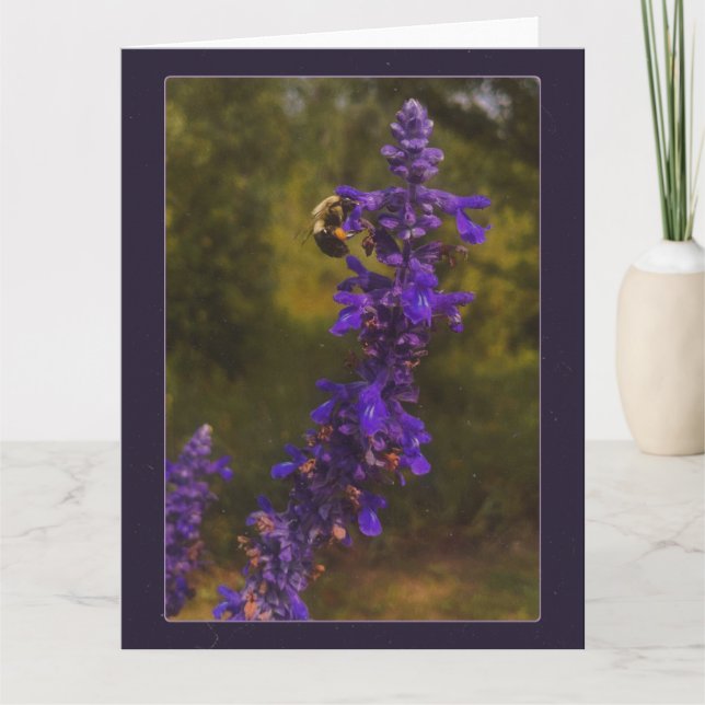 humla på lavendel kort (Framsida)