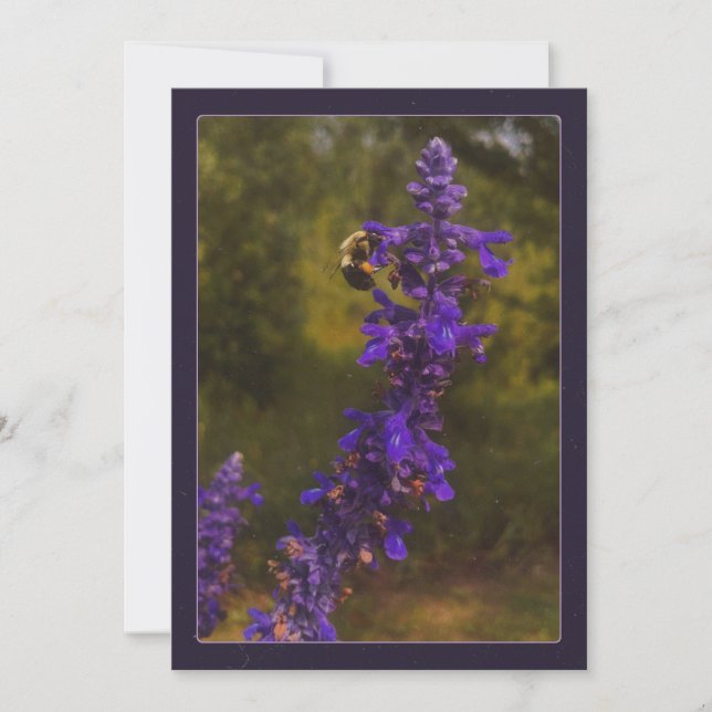 humla på lavendel tack kort (Framsida)
