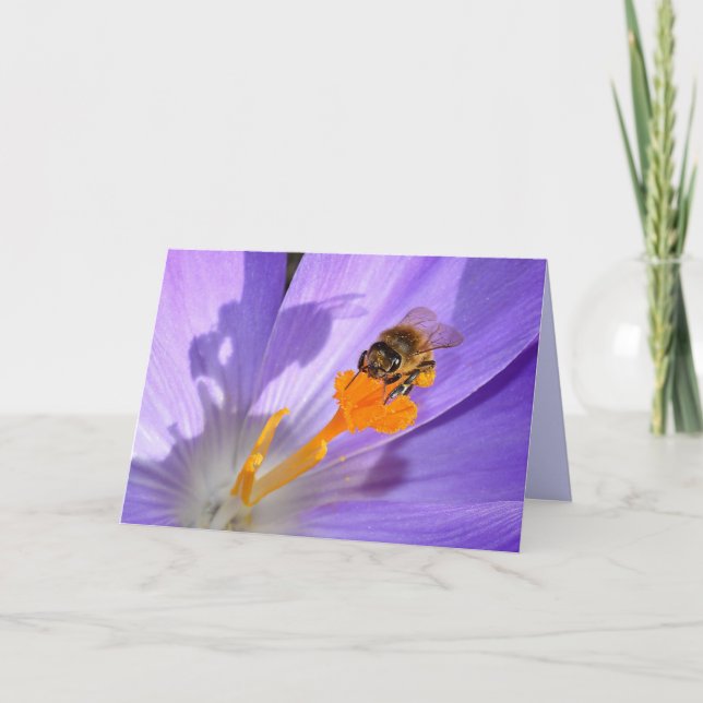 Humla på Lila Blankt fotoport utan  Kort (Framsida)