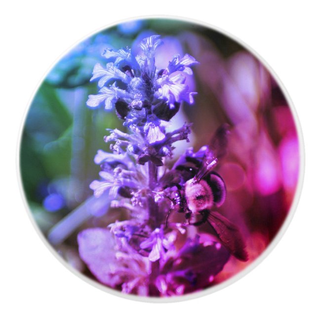Humla på Lila Flower Abstrakt Färg  Knopp (Framsidan)