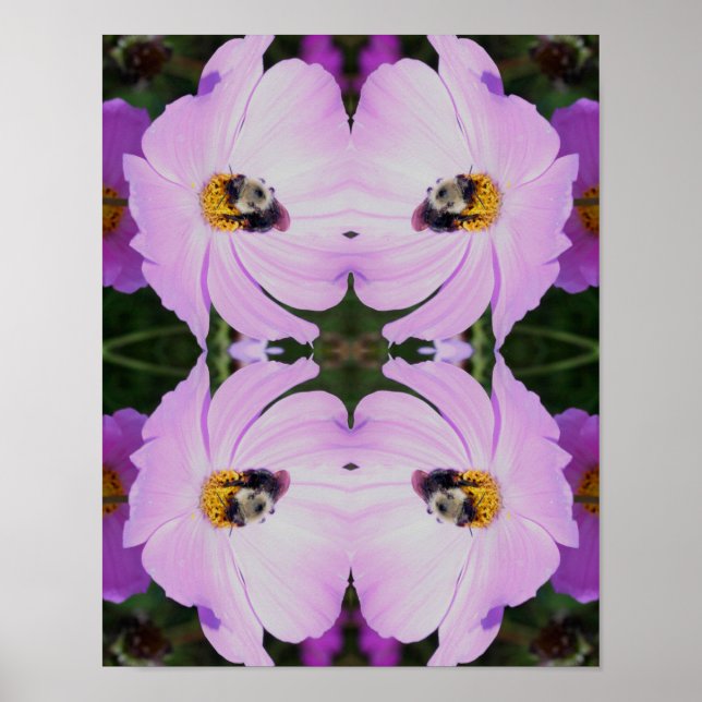 Humla på Rosa Cosmos blomma Abstrakt Poster (Framsidan)