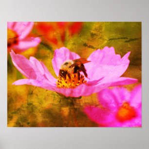 Humla på Rosa Cosmos blomma Abstrakt Poster