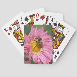 Humla på Rosa Daisy blomma #2 Casinokort