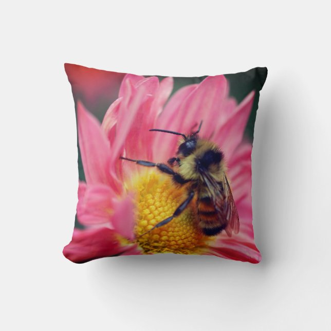 Humla på Rosa Daisy Blunda nära Kudde (Framsida)
