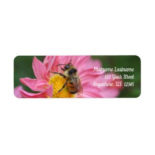 Humla på Rosa Daisy Flower Nature Adress Returadress Etikett