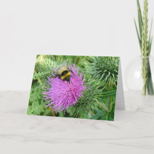 Humla på thistle kort