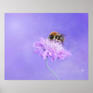 Humla Perched på en Lila Flower Poster