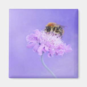 Humla Perched på en Rosa Flower Magnet
