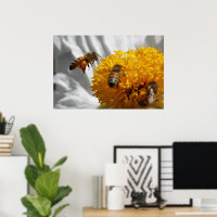 Humla pollen poster