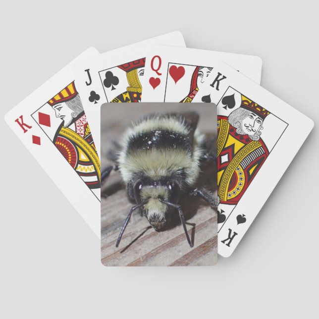 Humla som leker kort casinokort (Baksidan)