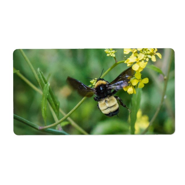 Humla under flygning fraktsedel (Framsidan)